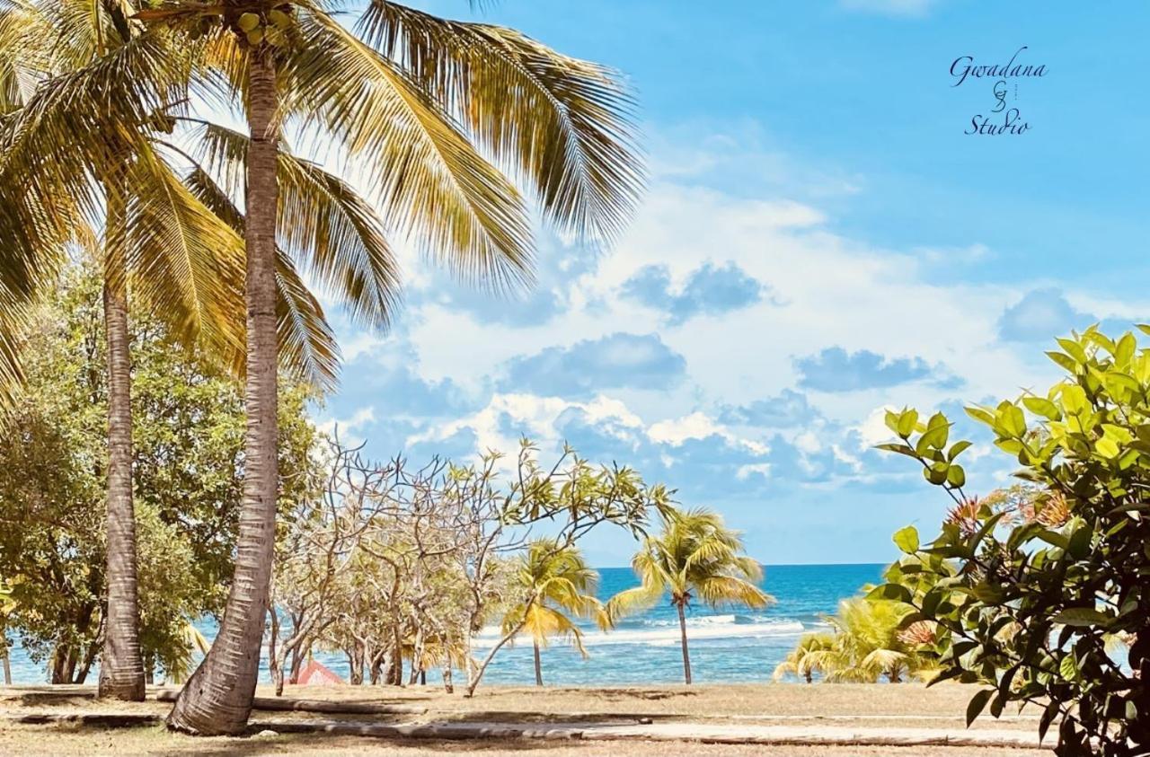 Acces Direct Plage, Vue Mer D'Exception, Les Gwada Studios, Village Vacances แซนต์-อาน ภายนอก รูปภาพ