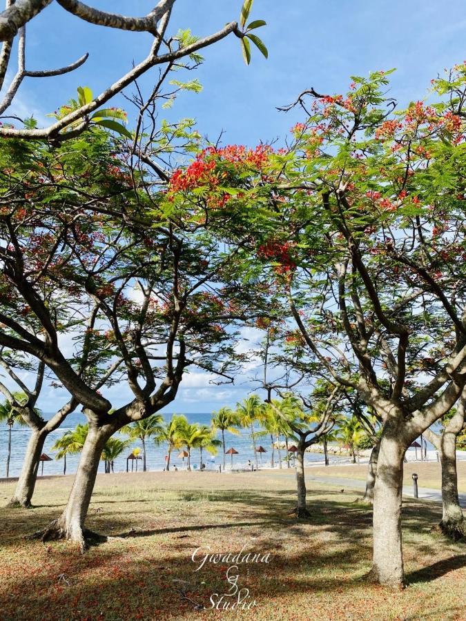 Acces Direct Plage, Vue Mer D'Exception, Les Gwada Studios, Village Vacances แซนต์-อาน ภายนอก รูปภาพ