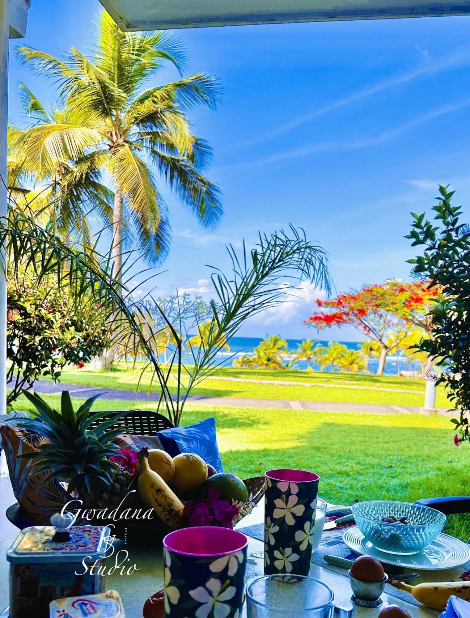 Acces Direct Plage, Vue Mer D'Exception, Les Gwada Studios, Village Vacances แซนต์-อาน ภายนอก รูปภาพ