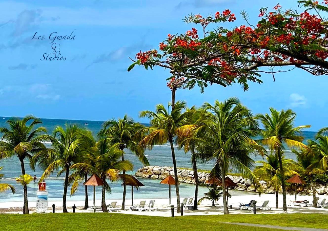 Acces Direct Plage, Vue Mer D'Exception, Les Gwada Studios, Village Vacances แซนต์-อาน ภายนอก รูปภาพ